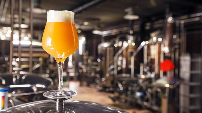 alston beer brewing system